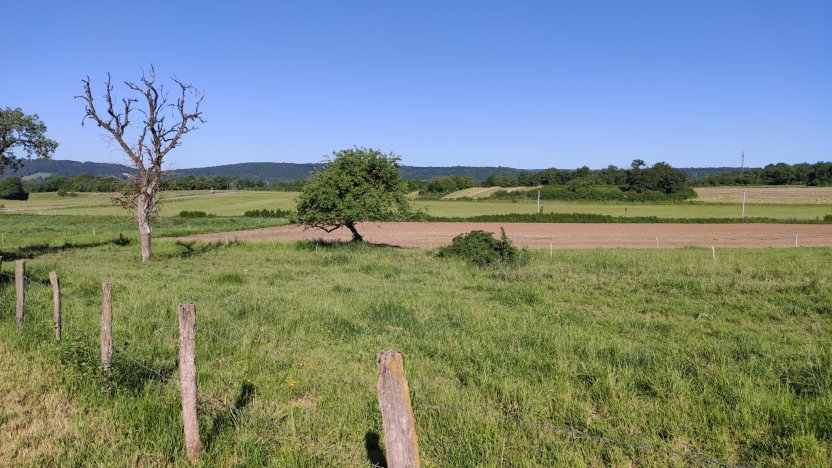 Jura